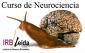 Curs neurociència. IRB - Universitat de de Lleida (UdL)