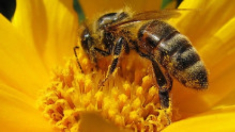 abella-foto-Andreas_b